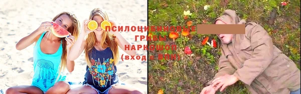 МДПВ Нефтекумск